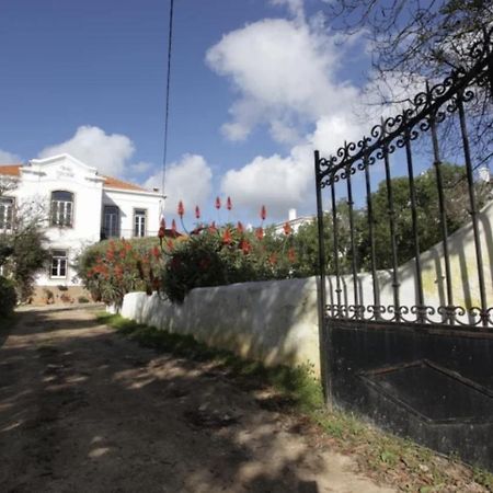 Bed and Breakfast Casa Grande Portugal Бургау Екстер'єр фото